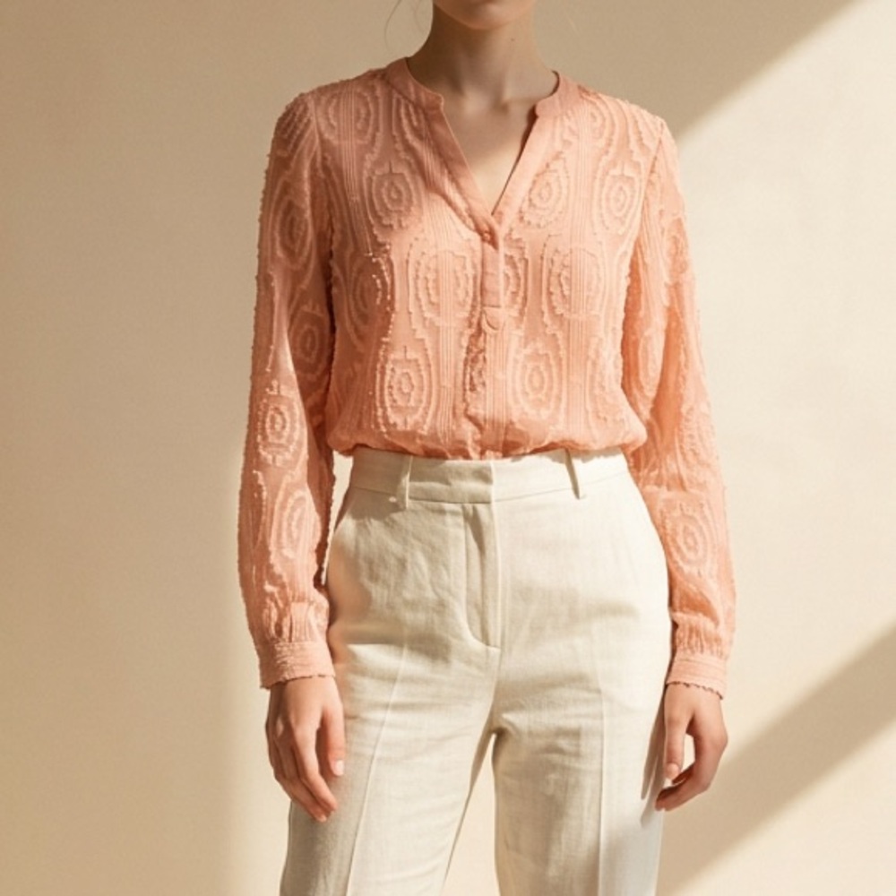 The Limited semi sheer blouse